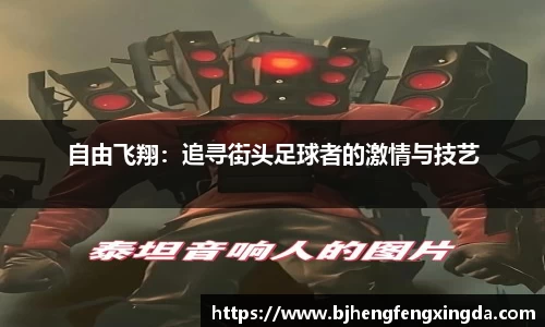 自由飞翔：追寻街头足球者的激情与技艺